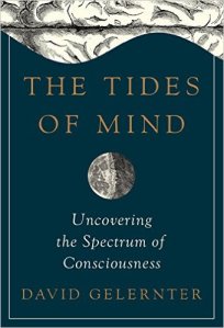 51LVlWH05xL._SX338_BO1,204,203,200_