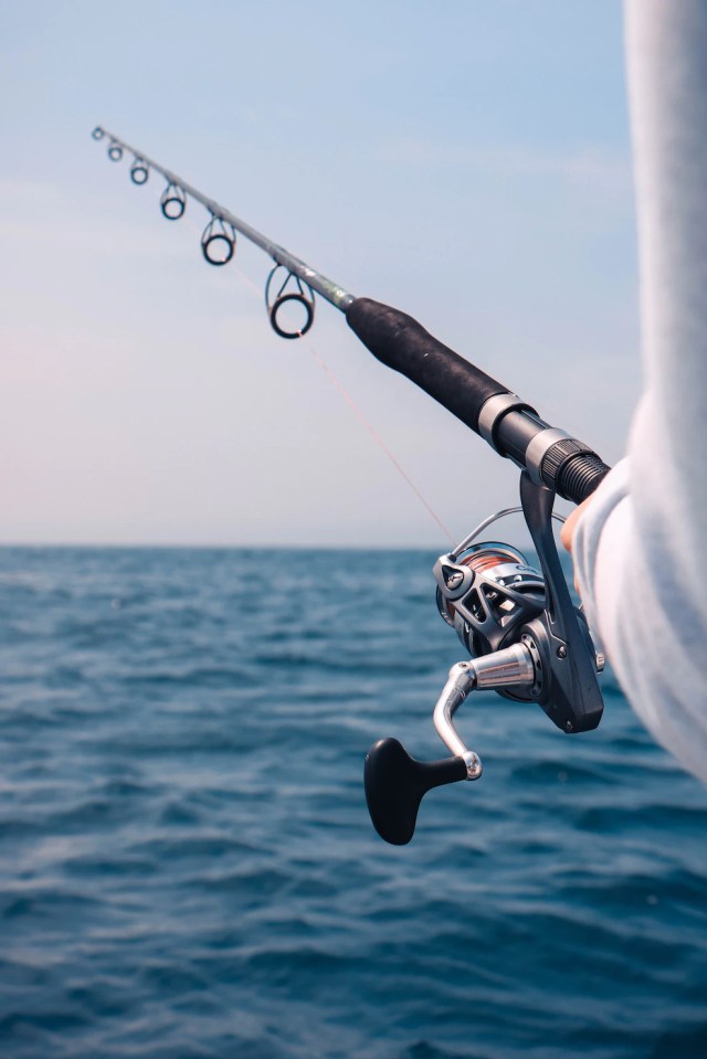 descriptive writing on a fishing pole sound Solo Rod allowing for accurate and controlled casting. Pre Blackfin Offshore Elite OE6630C Conventional